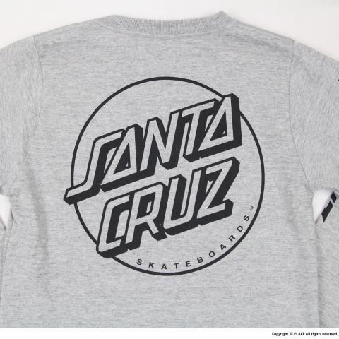 SANTA CRUZ L/S TEE