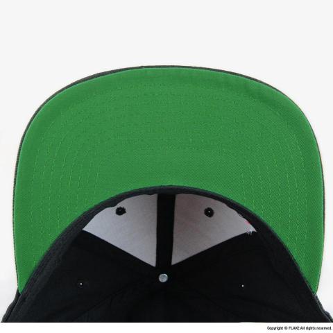 FLAKE THE CLASSICS SNAPBACK 6PANEL